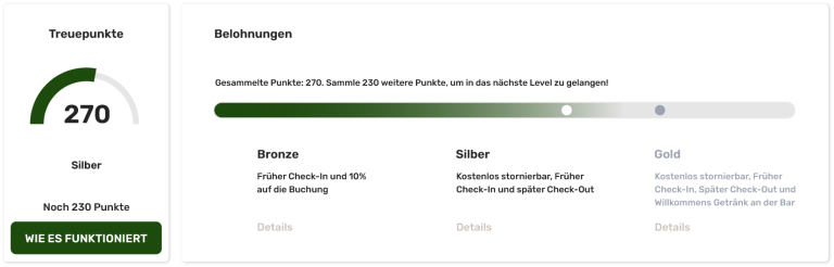 Loyalty TreuepunkteLevel Chart Gipfelglueck 768x246