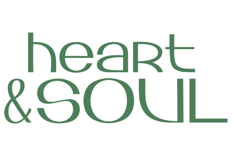 BHS HSO Logo RGB weiss 768x512