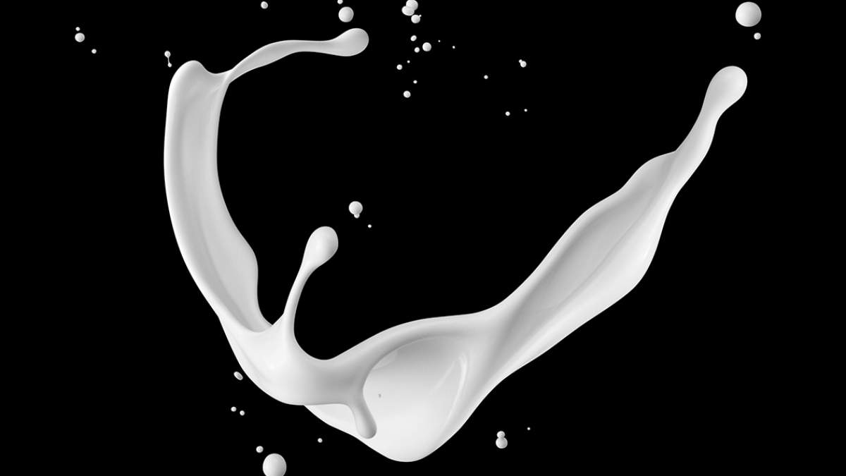 Milchprodukte in der Großküche